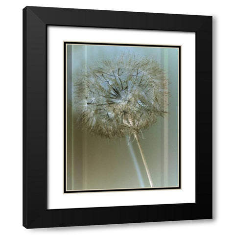Flaura I Black Modern Wood Framed Art Print with Double Matting by Blake, W.