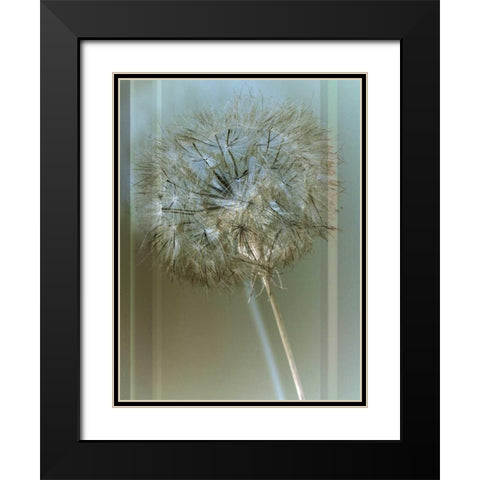 Flaura I Black Modern Wood Framed Art Print with Double Matting by Blake, W.