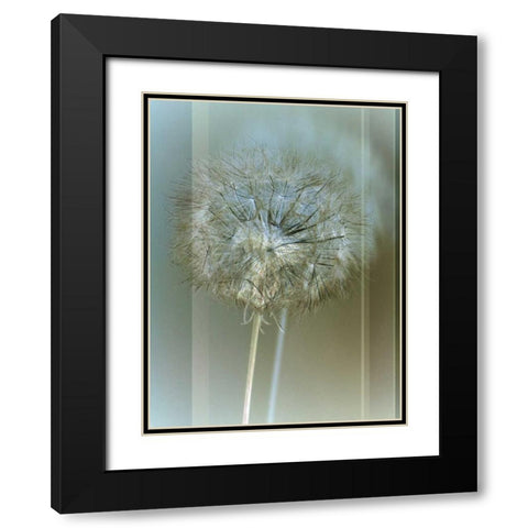 Flaura II Black Modern Wood Framed Art Print with Double Matting by Blake, W.