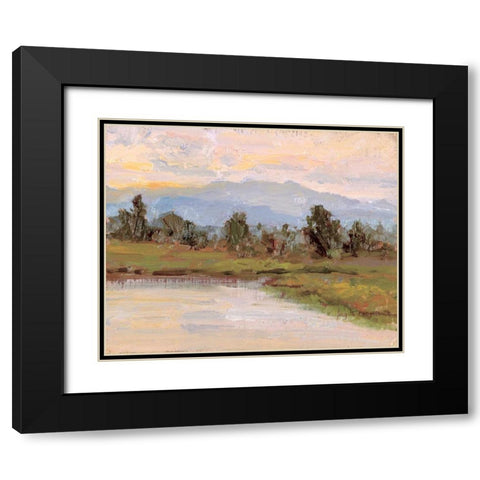 Jewels of the Wetlands Series One Black Modern Wood Framed Art Print with Double Matting by Curt, Brigitte