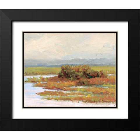 Jewels of the Wetlands Series One Black Modern Wood Framed Art Print with Double Matting by Curt, Brigitte