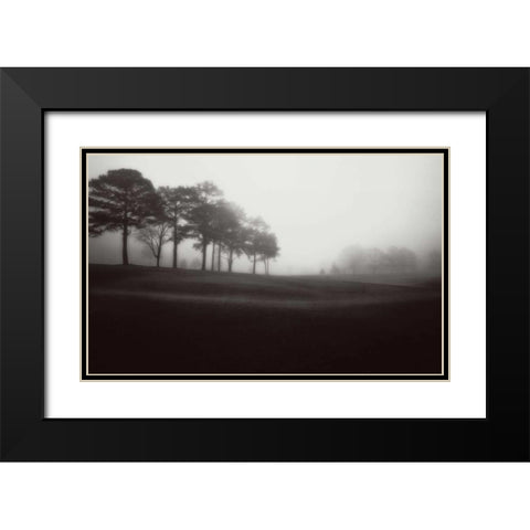 Fog Tree Study III Black Modern Wood Framed Art Print with Double Matting by Cook, Jamie