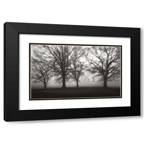 Fog Tree Study IV Black Modern Wood Framed Art Print with Double Matting by Cook, Jamie
