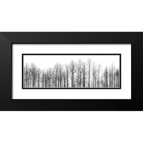 Straightforward Black Modern Wood Framed Art Print with Double Matting by Cook, Jamie