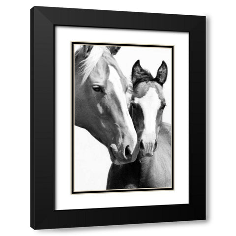 Wild Whispers I Black Modern Wood Framed Art Print with Double Matting by Corpeny, Peggy