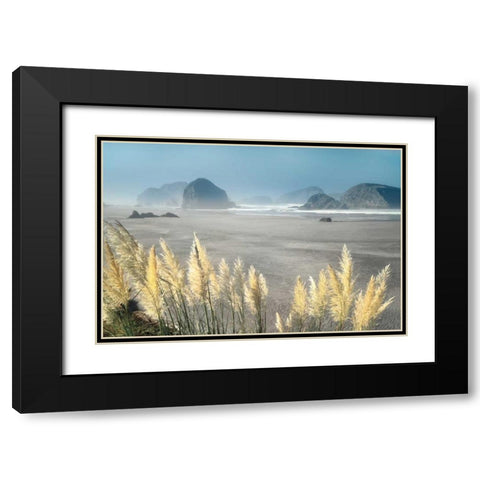 Pampas Beach Black Modern Wood Framed Art Print with Double Matting by Frates, Dennis