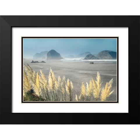 Pampas Beach Black Modern Wood Framed Art Print with Double Matting by Frates, Dennis