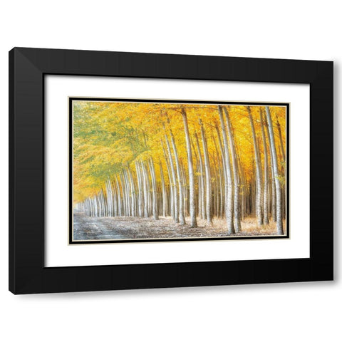Gold Alley Black Modern Wood Framed Art Print with Double Matting by Frates, Dennis