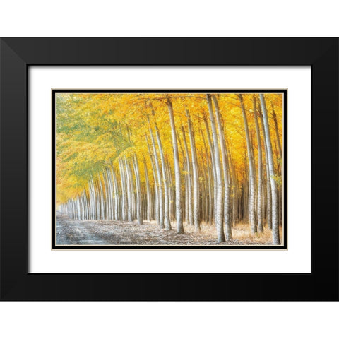Gold Alley Black Modern Wood Framed Art Print with Double Matting by Frates, Dennis