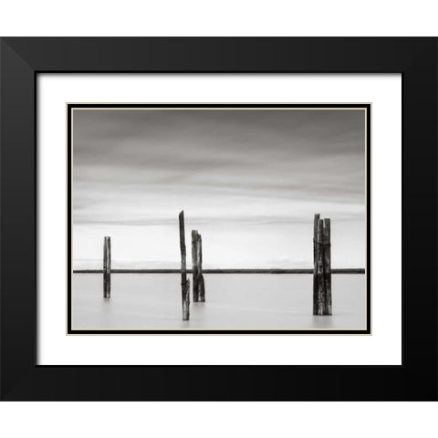 Cluster of Posts II Black Modern Wood Framed Art Print with Double Matting by Hislop, Lawrence