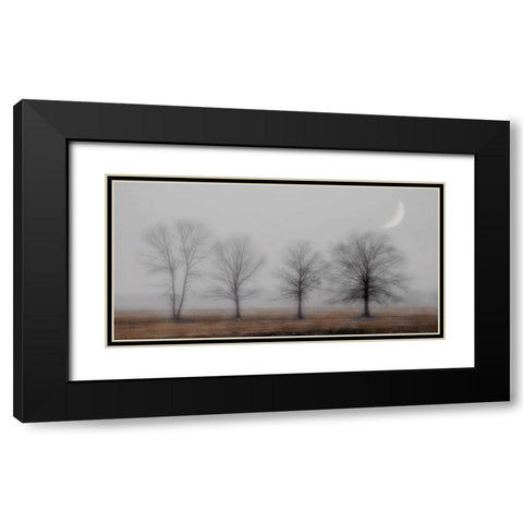 Early December Black Modern Wood Framed Art Print with Double Matting by Jacks, Heather