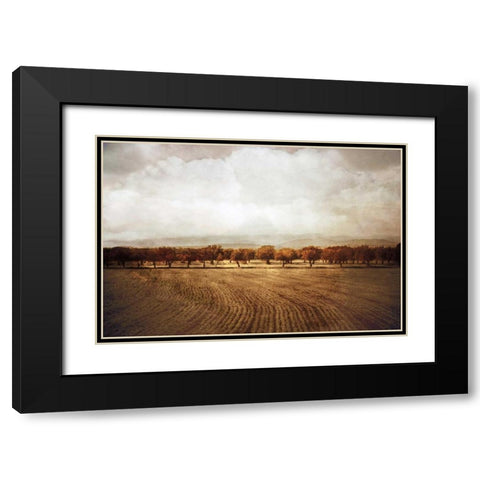 The Olive Grove Black Modern Wood Framed Art Print with Double Matting by Jacks, Heather