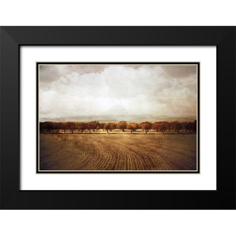 The Olive Grove Black Modern Wood Framed Art Print with Double Matting by Jacks, Heather