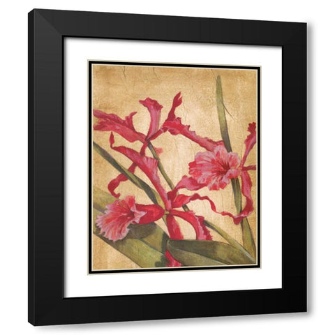 Hawaiian Tropics I Black Modern Wood Framed Art Print with Double Matting by Jardine, Liz