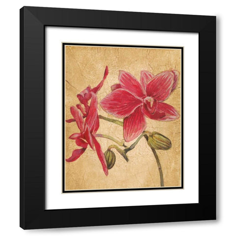 HawaiianTropics II Black Modern Wood Framed Art Print with Double Matting by Jardine, Liz
