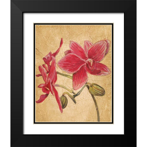 HawaiianTropics II Black Modern Wood Framed Art Print with Double Matting by Jardine, Liz