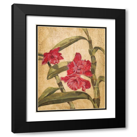 Hawaiian Tropics III Black Modern Wood Framed Art Print with Double Matting by Jardine, Liz