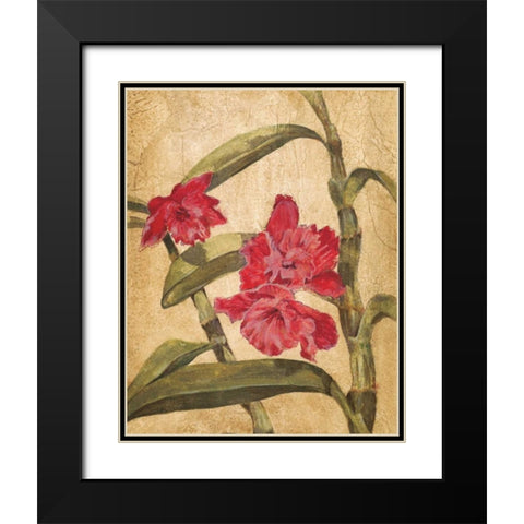 Hawaiian Tropics III Black Modern Wood Framed Art Print with Double Matting by Jardine, Liz