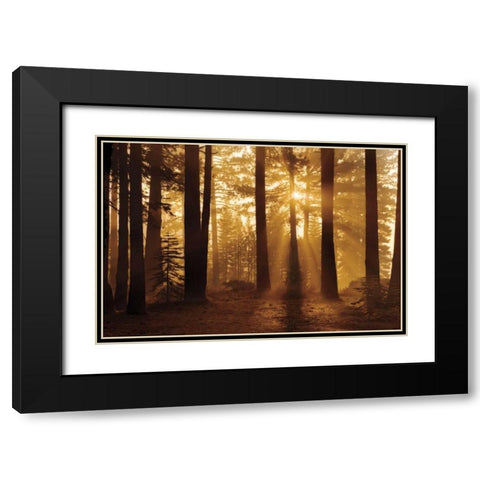 Tahoe Smoky Sunrise Black Modern Wood Framed Art Print with Double Matting by Jones, Mike