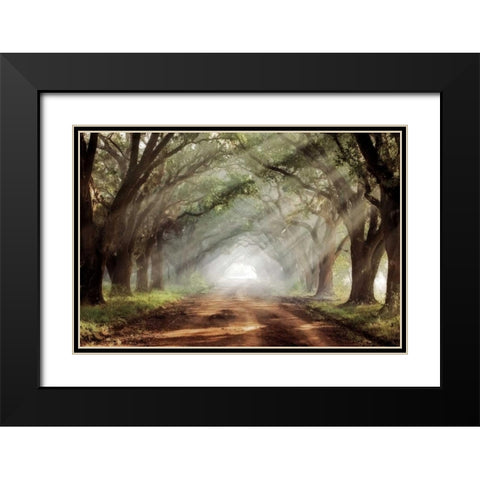 Evergreen Plantation Black Modern Wood Framed Art Print with Double Matting by Jones, Mike