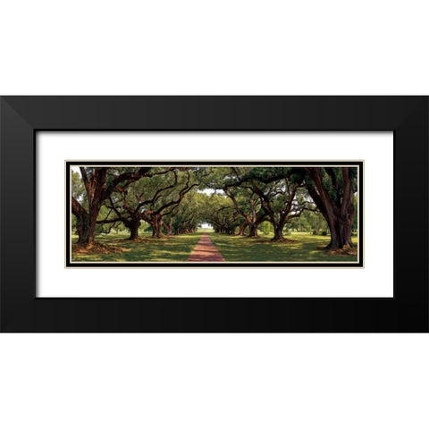 Enchanted Oaks Black Modern Wood Framed Art Print with Double Matting by Jones, Mike