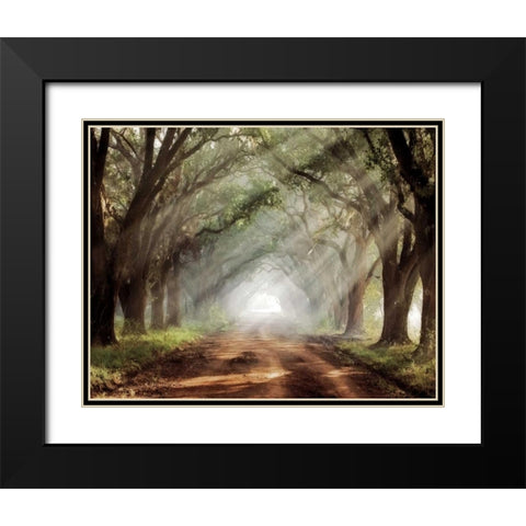 Evergreen Plantation Black Modern Wood Framed Art Print with Double Matting by Jones, Mike