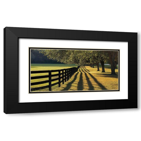 Chasing Shadows Black Modern Wood Framed Art Print with Double Matting by Jones, Mike