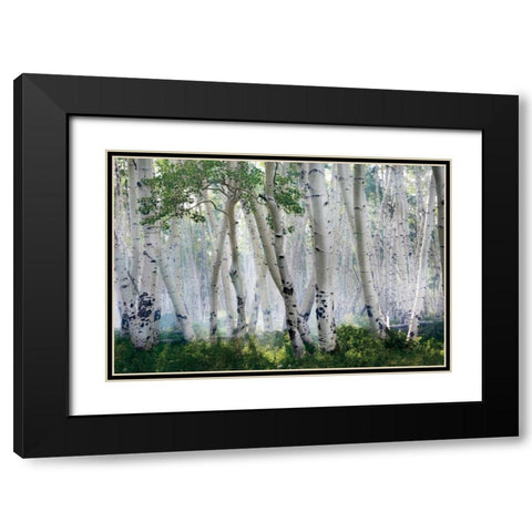 Up In The Clouds Black Modern Wood Framed Art Print with Double Matting by Jones, Mike