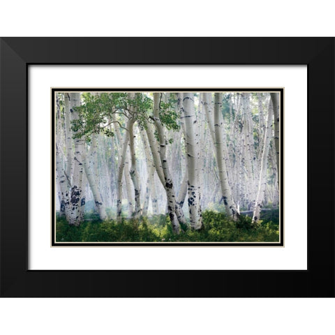 Up In The Clouds Black Modern Wood Framed Art Print with Double Matting by Jones, Mike