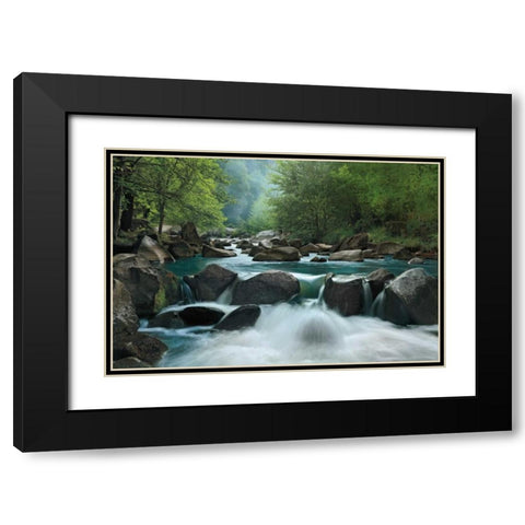 Secret Passage Black Modern Wood Framed Art Print with Double Matting by Jones, Mike