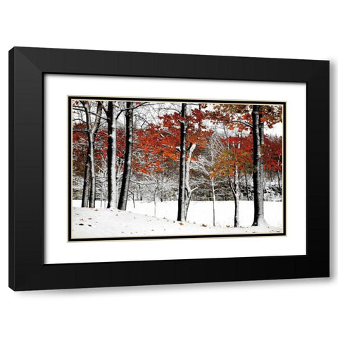 SnowFall Black Modern Wood Framed Art Print with Double Matting by Lieberman , Burney