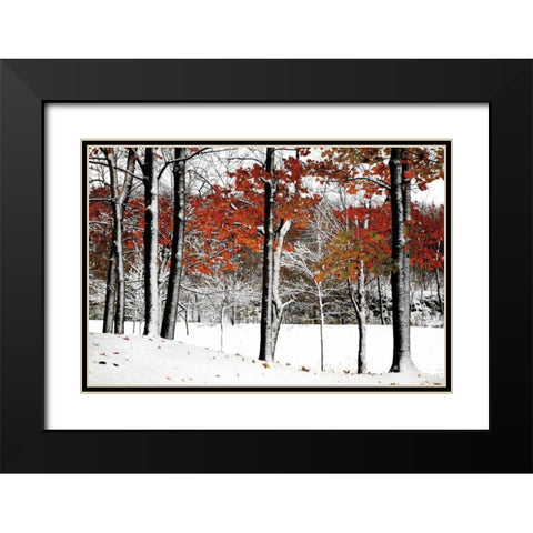 SnowFall Black Modern Wood Framed Art Print with Double Matting by Lieberman , Burney