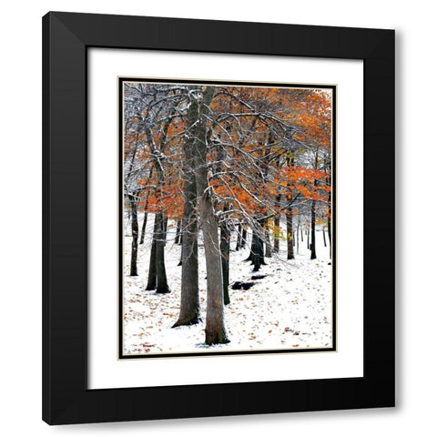 SnowFall II Black Modern Wood Framed Art Print with Double Matting by Lieberman , Burney