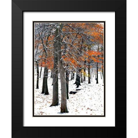 SnowFall II Black Modern Wood Framed Art Print with Double Matting by Lieberman , Burney