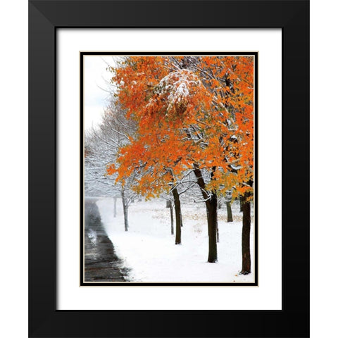 SnowFall III Black Modern Wood Framed Art Print with Double Matting by Lieberman , Burney