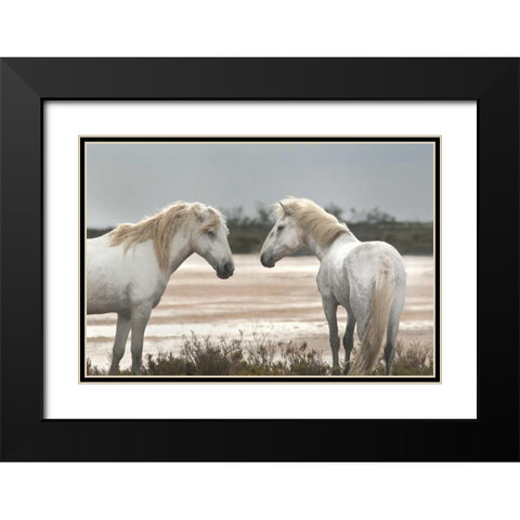 Friendship Black Modern Wood Framed Art Print with Double Matting by Llovet, Jorge