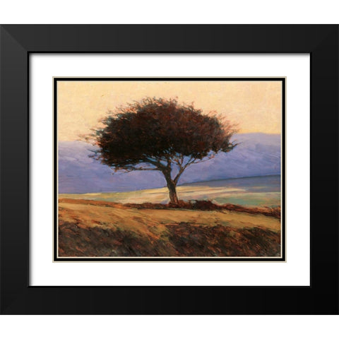 Cloondaff Black Modern Wood Framed Art Print with Double Matting by Lovelace, Kent