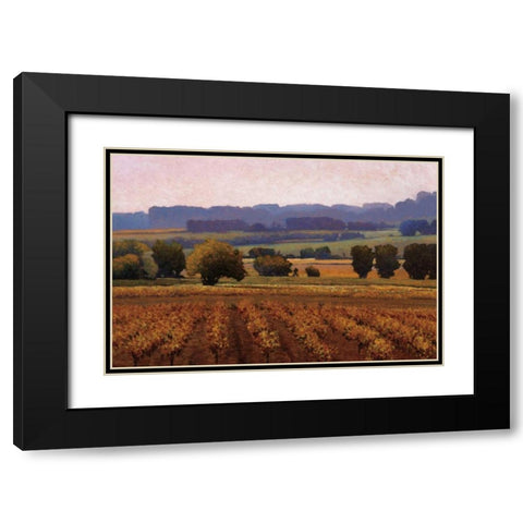 Terroir Black Modern Wood Framed Art Print with Double Matting by Lovelace, Kent