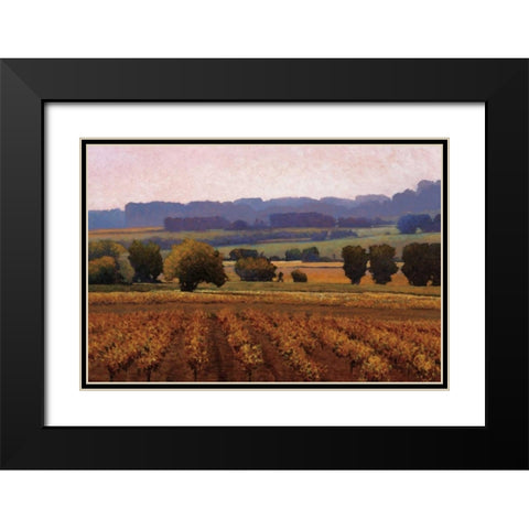 Terroir Black Modern Wood Framed Art Print with Double Matting by Lovelace, Kent