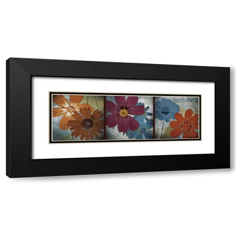In the Cosmos Black Modern Wood Framed Art Print with Double Matting by Robert, Lacie