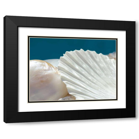 Fantastic Black Modern Wood Framed Art Print with Double Matting by Marie, Dina