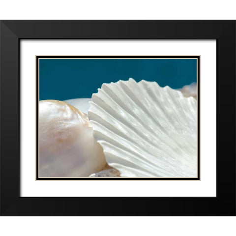 Fantastic Black Modern Wood Framed Art Print with Double Matting by Marie, Dina