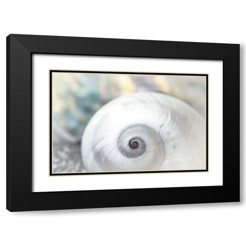 Pearl Lite Seashell Black Modern Wood Framed Art Print with Double Matting by Marie, Dina