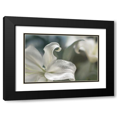Charmed Black Modern Wood Framed Art Print with Double Matting by Marie, Dina