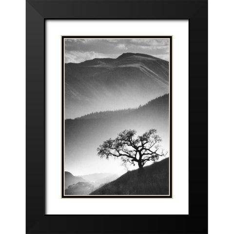 Black Oak Black Modern Wood Framed Art Print with Double Matting by Miele, Jean