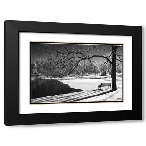 Heritage Pond in Winter Black Modern Wood Framed Art Print with Double Matting by Nagler, Monte