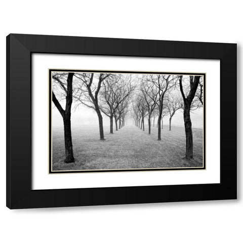 Tunnel of Trees Black Modern Wood Framed Art Print with Double Matting by Nagler, Monte