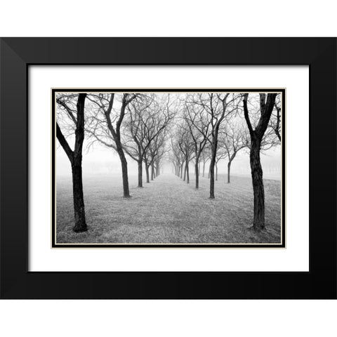 Tunnel of Trees Black Modern Wood Framed Art Print with Double Matting by Nagler, Monte