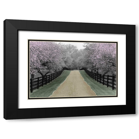 Apple Blossom Lane Black Modern Wood Framed Art Print with Double Matting by Nagler, Monte