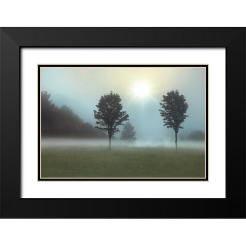 Sunburst Black Modern Wood Framed Art Print with Double Matting by Nagler, Monte